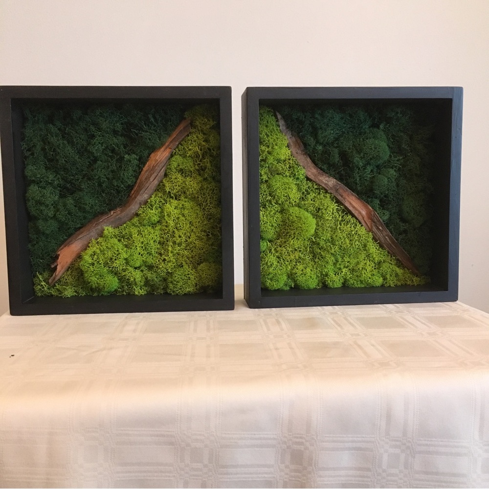 Two preserved moss wall hangings in light green and dark green with black frame. - Picture 3 of 4